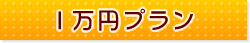1万円プラン