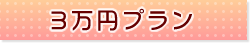 3万円プラン