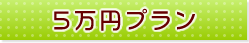 5万円プラン